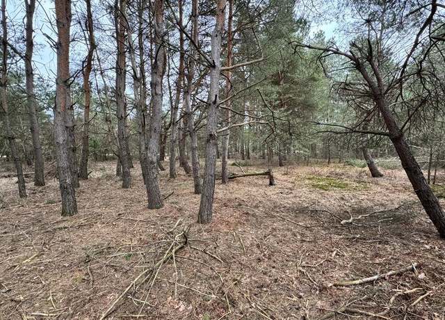 Property at 6526 Cedar Trce, Stanwood, MI 49346