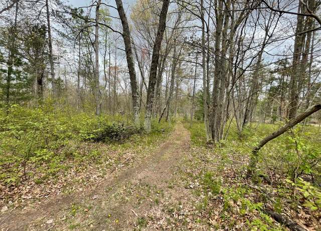 Property at V/L Caberfae Hwy, Wellston, MI 49689