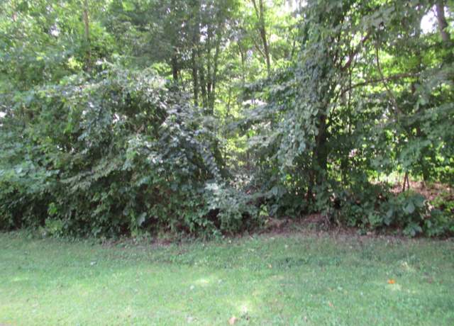 Property at Tract #2 Deep Woods Dr, Cassopolis, MI 49031