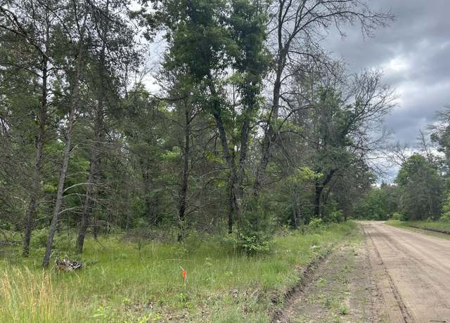 Property at V/L S Dillard St, Baldwin, MI 49304