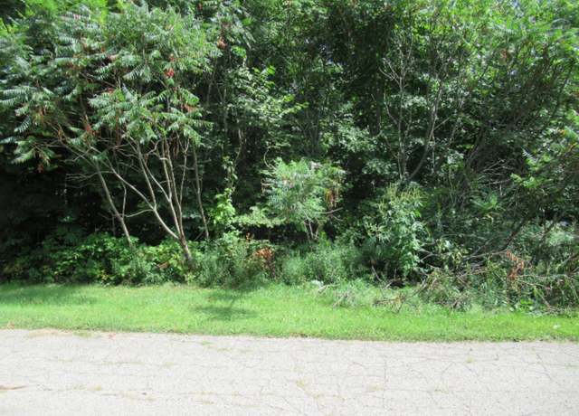 Property at Tract 3 Deep Woods Dr, Cassopolis, MI 49031