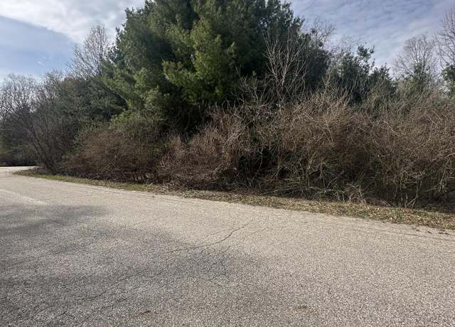 Property at V/L-1 White Pine Dr, Hart, MI 49420