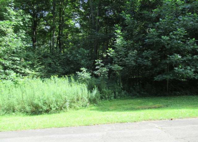 Property at Tract 4 Deep Woods Dr, Cassopolis, MI 49031