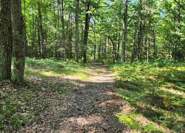 Property at 231 W Runway Dr, Luther, MI 49656