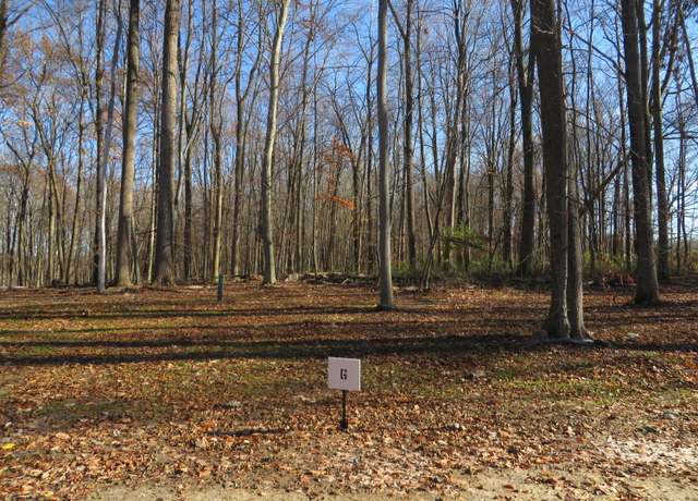 Property at 8726 Rainbows End Ct SE Unit Parcel 6, Caledonia, MI 49316