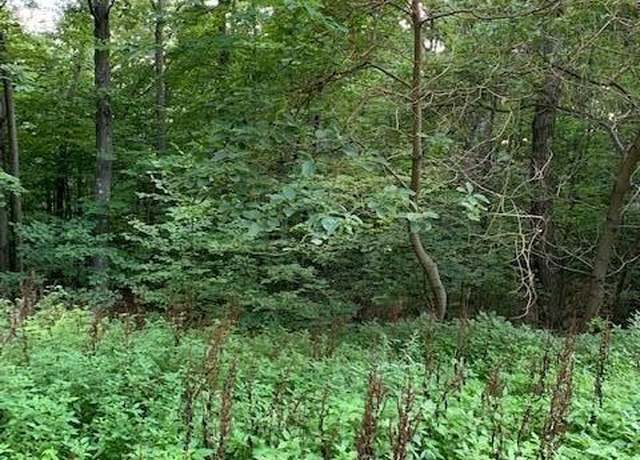 Property at VL Silver Vista Blvd #1, Mears, MI 49436