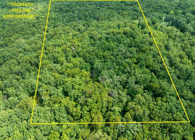 Property at 6946 W 7 Mile Rd, Irons, MI 49644