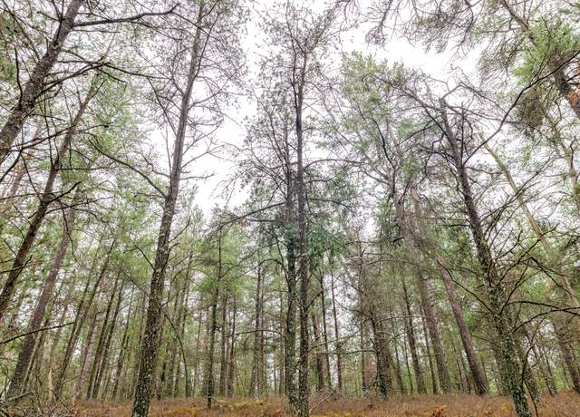 Property at V/L Dow Rd, West Branch, MI 48661