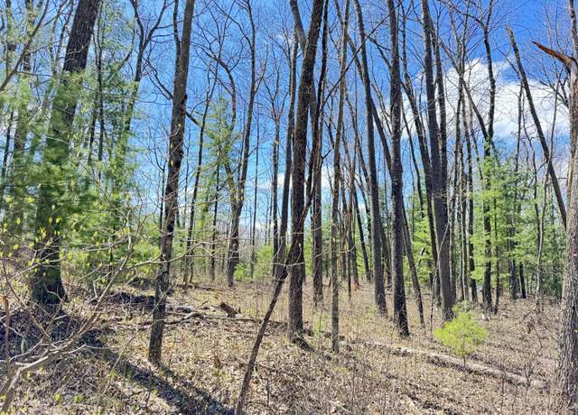 Property at 0 W Franklin St, Bitely, MI 49309