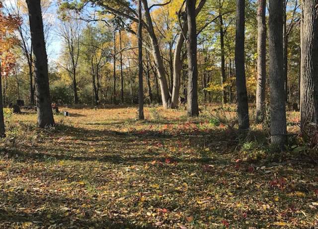 Property at 4127 Carriage Hill Dr, Metamora, MI 48455