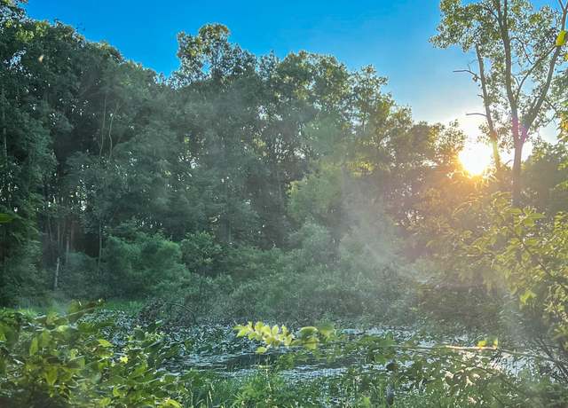 Property at Coon Hollow Rd, Three Rivers, MI 49093