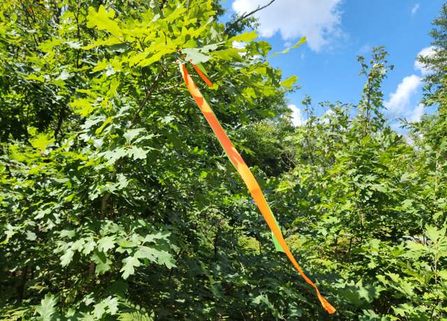 Property at VL 4.5 Acr Wilderness Trl, Luther, MI 49656