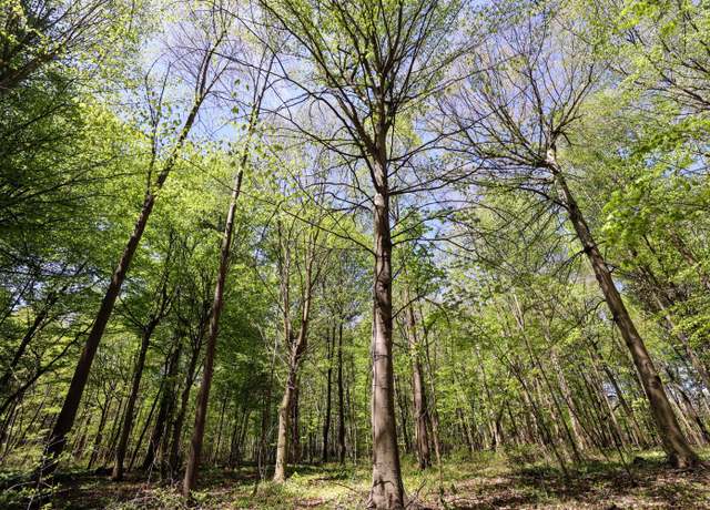 Property at VL Benny Ct (all Parcels), Grand Junction, MI 49056
