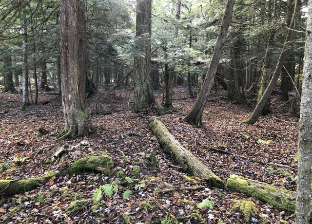 Property at 9700 No 1 Rd, Copemish, MI 49625