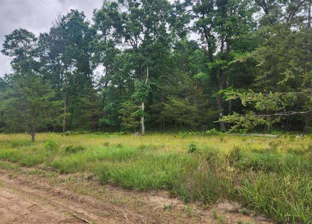 Property at Parcel B W 16th St, Baldwin, MI 49304