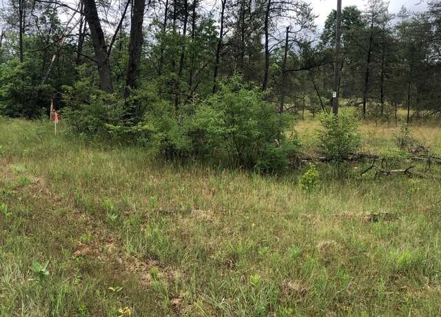 Property at VL S Forman Rd, Idlewild, MI 49642