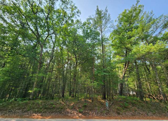 Property at Lots 7/8 W Central Park Blvd, Baldwin, MI 49304