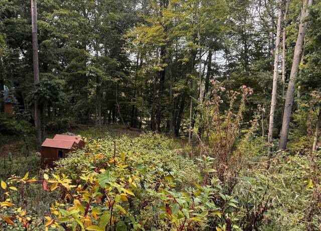 Property at 4962 Farwell Lake Rd, Horton, MI 49246