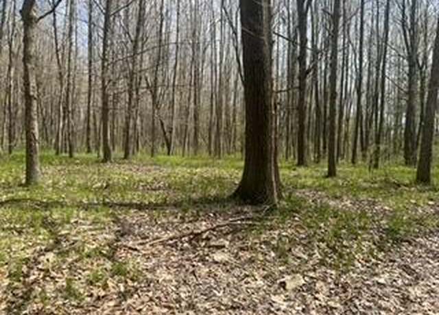 Property at TBD Pierce Rd, Stanwood, MI 49346