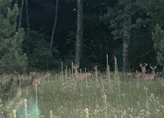 Property at TBD Pierce Rd, Stanwood, MI 49346
