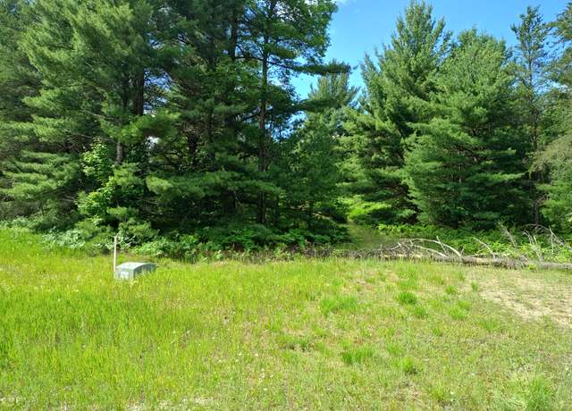 Property at Red Hawk, Fife Lake, MI 49633
