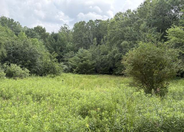 Property at 11546 E 3 1/2 Mile Rd, Luther, MI 49656