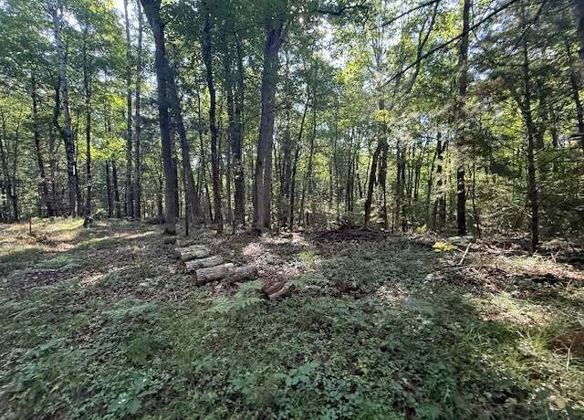 Property at 4187 S Forman Rd, Baldwin, MI 49304