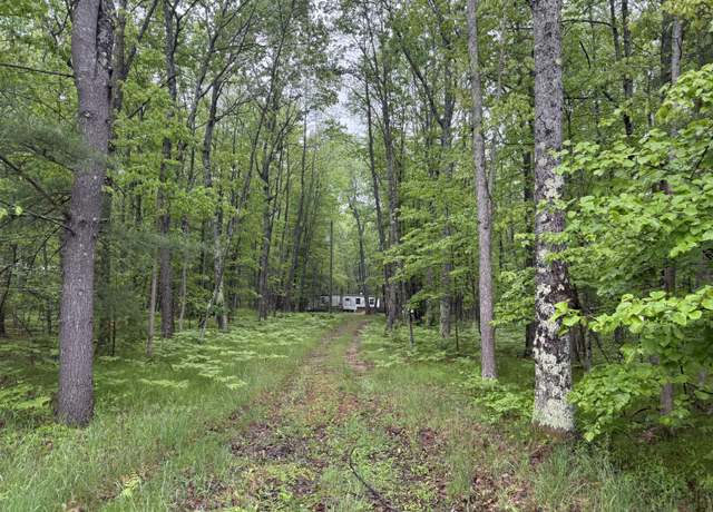 Property at 8073 W 10 1/2 Mile Rd, Irons, MI 49644