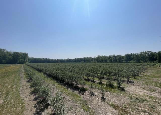 Property at V/L E Townline Rd, Free Soil, MI 49411