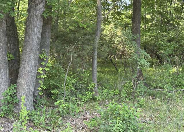 Property at VL 7 Mile Rd, Belding, MI 48809