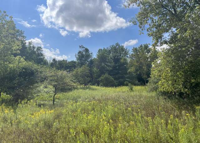 Property at V/L 3rd St, Edmore, MI 48829