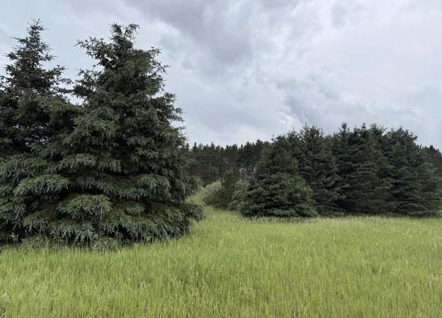 Property at V/L Eight Mile Rd, Kaleva, MI 49645