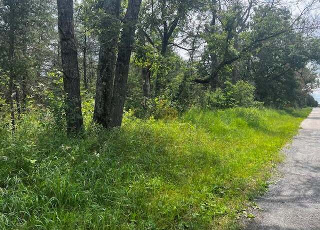 Property at 6864 S Nelson Rd, Idlewild, MI 49642