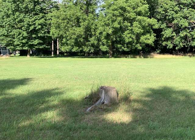 Property at Lizzie Ave, Hesperia, MI 49421