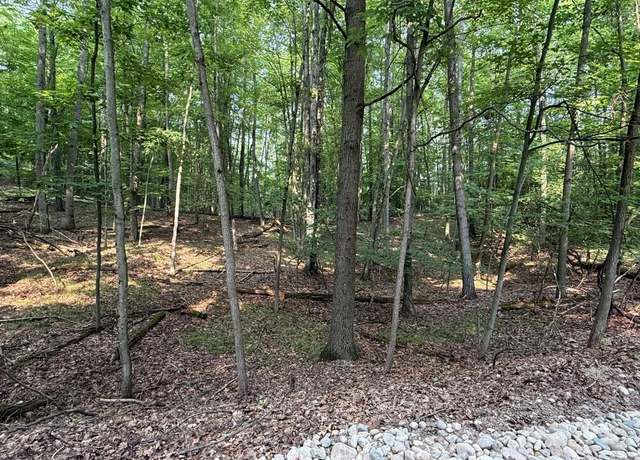 Property at 9619 Calgary Dr S, Canadian Lakes, MI 49346