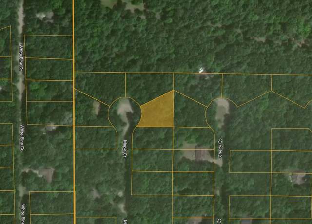 Property at 6824 Maple Ct, Canadian Lakes, MI 49346
