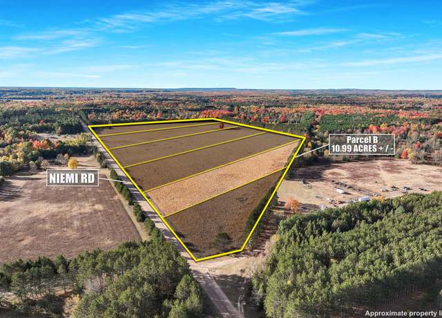 Property at 0 V/l 10.99 Acres Niemi Rd Unit PARCEL B, Kaleva, MI 49645