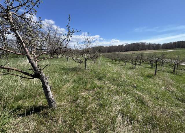 Property at 0 Pinot Pl Lot 17, Manistee, MI 49660