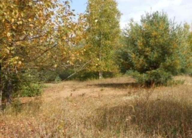 Property at 00 Pueblo Trl, Evart, MI 49631