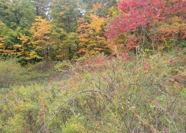 Property at 74032 Ridgeway Dr, Lawton, MI 49065