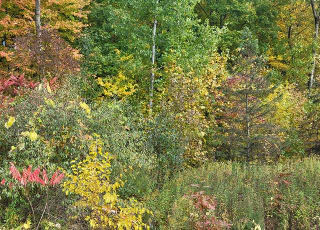 Property at 74066 Ridgeway Dr, Lawton, MI 49065