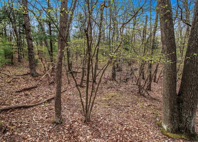 Property at N Silver Ridge Rd, Mears, MI 49436