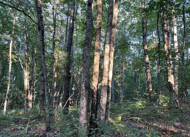 Property at N Caribou Trl, Irons, MI 49644