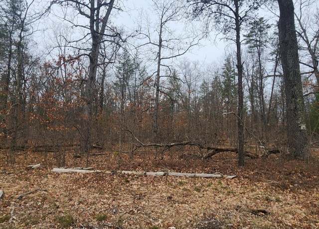 Property at 3544 S Cornell Ave, Baldwin, MI 49304