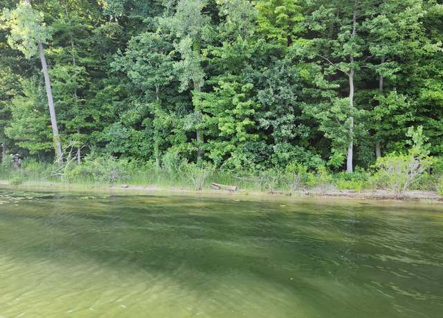 Property at 2605 W Selkirk Lake Dr, Shelbyville, MI 49344