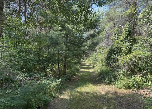 Property at v/l Old Rugged Ln, Reed City, MI 49677