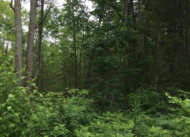 Property at Dodge Lk Rd Unit Parcel K, Gaylord, MI 49735