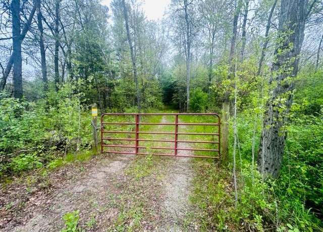 Property at 6450 E 64th St, Chase, MI 49623