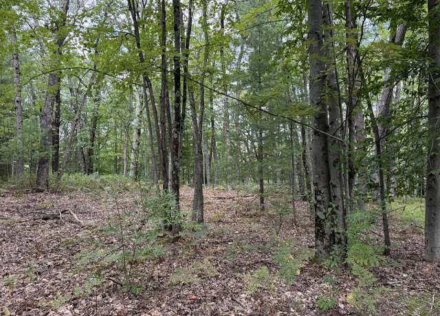 Property at 11337 N Caribou Trl, Irons, MI 49644