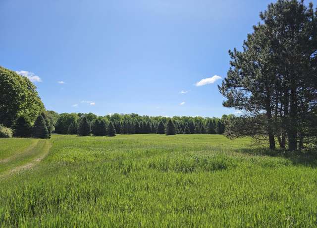 Property at 9250 E Mannsiding Rd, Clare, MI 48617